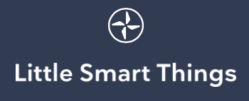 LITTLE SMART THINGS