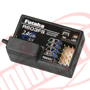 orsacchiotto di natale