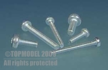 Vite testa a croce  M2x12 mm 10pz