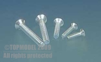 Vite testa svasata a croce M2x5 mm 