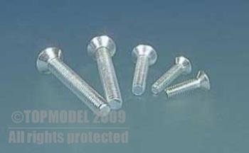 Vite testa svasata a croce M2,5x8 mm 10pz